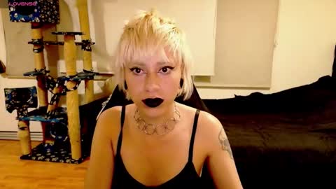 Snapshot of tryp666 chatting on October 2025 04:12:01 AM Cait online show from October 2025 04:12:01 AM