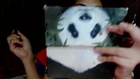 Snapshot of tsempress chatting on April 2026 11:52:02 AM SHENA online show from April 2026 11:52:02 AM