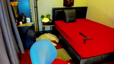 Kylee-  will make your  day  online show from May 2026 01:00:01 AM