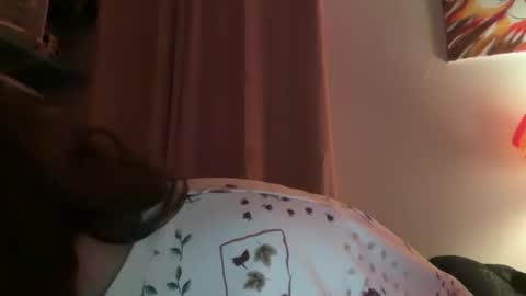 Tulip online show from February 2026 04:00:02 AM