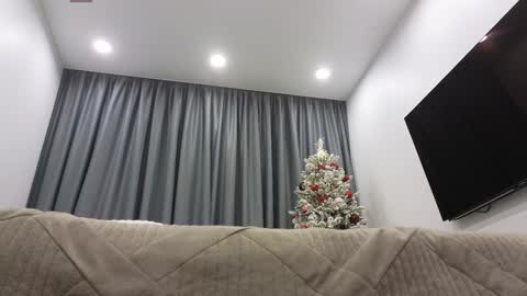 Ariana online show from December 2024 02:25:02 AM