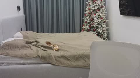 Ariana online show from December 2024 12:11:01 AM