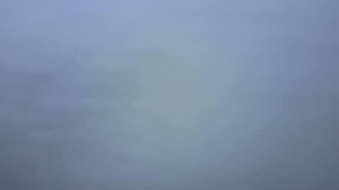 Ariana online show from January 2026 07:04:02 PM