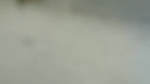 tutu1723153673 online show from January 2025 06:10:01 PM