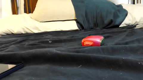 Snapshot of twinkkluvva chatting on February 2026 05:52:01 PM twinkkluvva online show from February 2026 05:52:01 PM