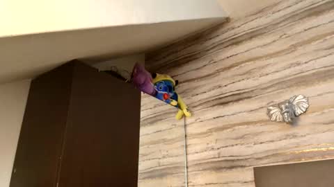 Snapshot of twinslovers_ chatting on January 2026 03:32:01 AM twinslovers_ online show from January 2026 03:32:01 AM