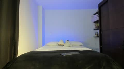 Snapshot of twintease chatting on January 2025 11:31:01 AM twintease online show from January 2025 11:31:01 AM