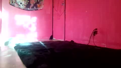twizzytoxic22 online show from May 2026 11:21:02 PM