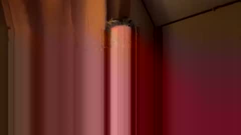 twosmallholes42 online show from March 2026 04:03:01 AM