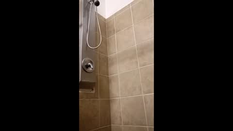 Snapshot of twp123 chatting on January 2026 02:17:01 AM Matt online show from January 2026 02:17:01 AM