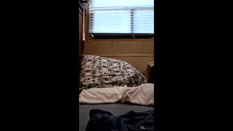 Snapshot of twp123 chatting on March 2026 09:31:02 PM Matt online show from March 2026 09:31:02 PM