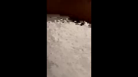 Snapshot of txcouple281 chatting on November 2025 08:53:02 AM txcouple281 online show from November 2025 08:53:02 AM