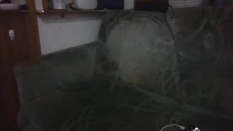 tybud4200 online show from October 2025 07:31:02 AM