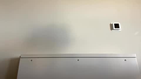 TylerC online show from September 2025 06:09:02 PM