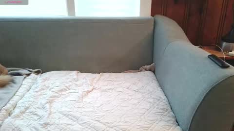 Snapshot of tylersands chatting on December 2025 12:54:01 PM Tyler Sands online show from December 2025 12:54:01 PM