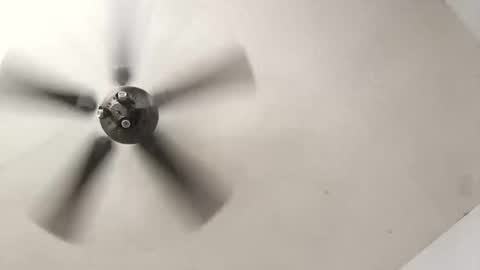 Aldo rasid online show from October 2025 05:35:01 PM