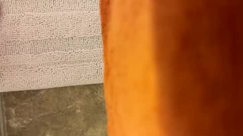 tymm4534 online show from April 2026 10:39:01 AM