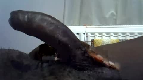 tyroneall online show from July 2026 06:50:02 PM