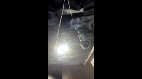 Astic BW online show from March 2026 10:21:01 AM