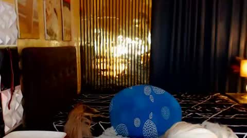 BRIANNA online show from July 2026 02:13:02 AM