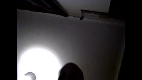 uplatenhorny2379 online show from September 2025 05:34:01 AM