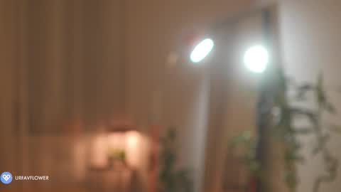 Aleksandra online show from November 2025 07:12:02 PM