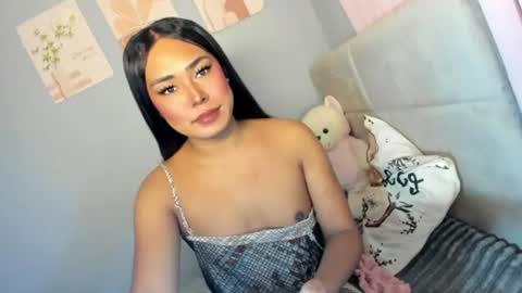 Havana online show from July 2026 03:37:02 AM