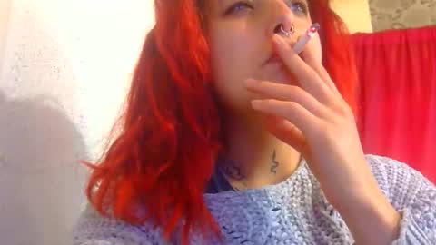 Aniie online show from December 2025 01:17:01 PM