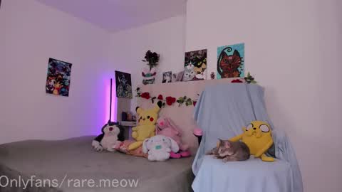    online show from November 2025 05:58:02 PM