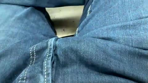 usabound online show from March 2026 01:51:01 PM