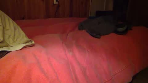 useemie online show from January 2025 07:17:02 AM