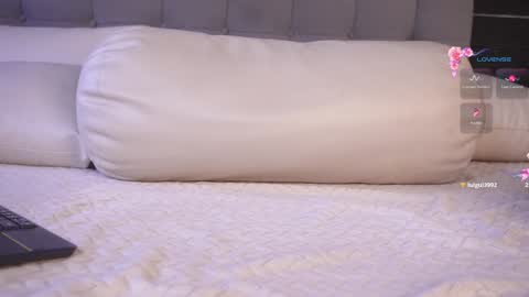   online show from December 2024 05:11:02 PM