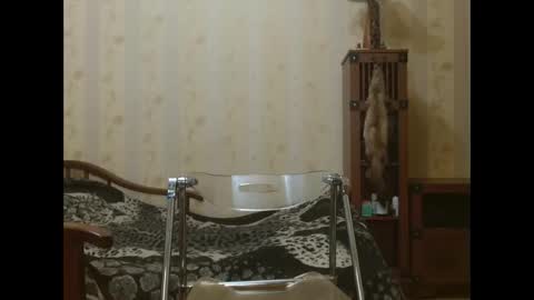 Snapshot of valenttijm3851 chatting on April 2026 06:22:01 PM valentijm online show from April 2026 06:22:01 PM