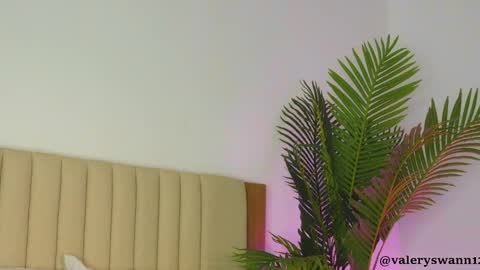 Snapshot of valery_swan1 chatting on December 2025 11:29:01 AM Valery swan1 online show from December 2025 11:29:01 AM