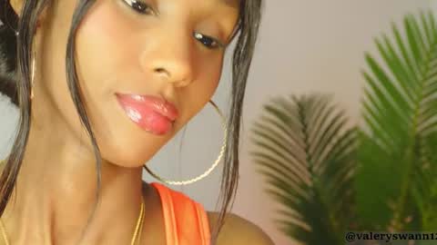 Snapshot of valery_swan1 chatting on January 2026 03:54:02 AM Valery swan1 online show from January 2026 03:54:02 AM