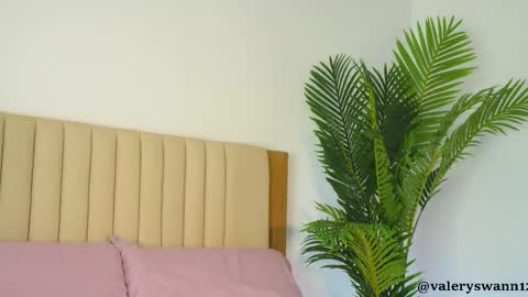 Snapshot of valery_swan1 chatting on February 2026 03:44:02 AM Valery swan1 online show from February 2026 03:44:02 AM