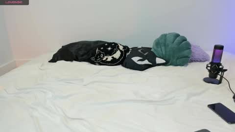 Vamppire Girl   online show from November 2025 07:56:01 PM