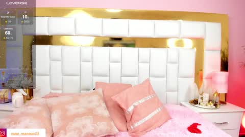 Snapshot of vane_manson chatting on December 2024 04:21:01 PM vane_manson online show from December 2024 04:21:01 PM