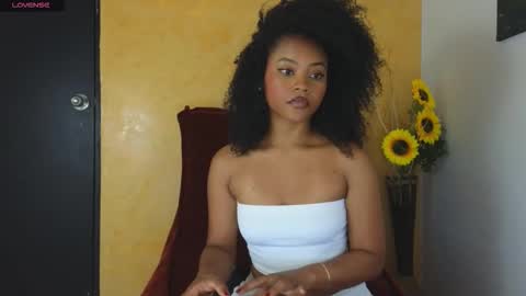 Snapshot of vanestrauss chatting on November 2025 07:47:02 PM New account follow me online show from November 2025 07:47:02 PM