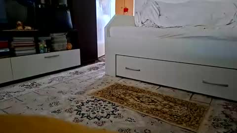 Vasi Sexyi online show from June 2026 06:40:01 AM