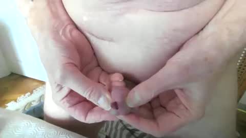 vassus online show from March 2026 02:40:02 PM