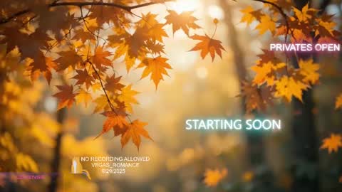 vegas_romance online show from September 2025 02:16:02 AM