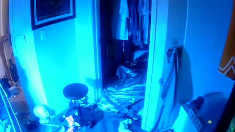 vegasmd online show from February 2025 11:38:02 PM