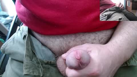 vegeta_ssj online show from March 2026 02:22:02 PM