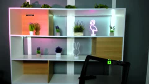 Snapshot of veldi_to chatting on February 2026 07:34:02 PM veldi_to online show from February 2026 07:34:02 PM