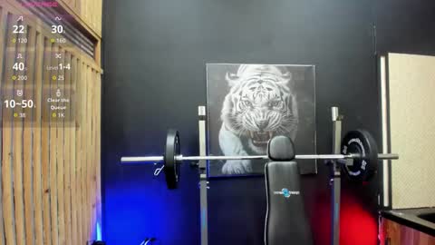 Vello online show from February 2026 04:06:01 AM