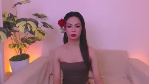 Velvet online show from May 2026 02:41:02 AM