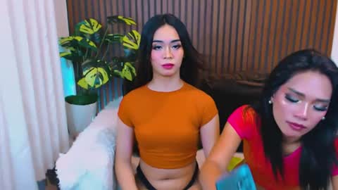 Velvet online show from July 2026 09:40:01 AM