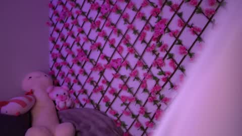 Snapshot of velvet_vice chatting on November 2025 06:18:01 PM Polly online show from November 2025 06:18:01 PM