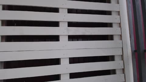 velvetmoon123 online show from May 2026 12:33:01 PM